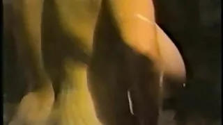 Tabu, Üvey anne, iç çamaşırı kılı am sikmek